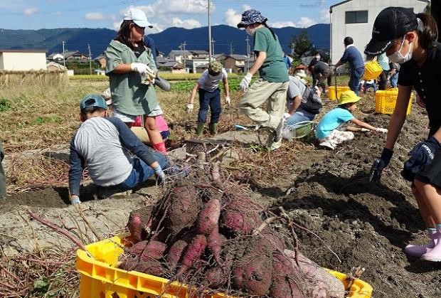 環境配慮型農業の実践プロジェクト