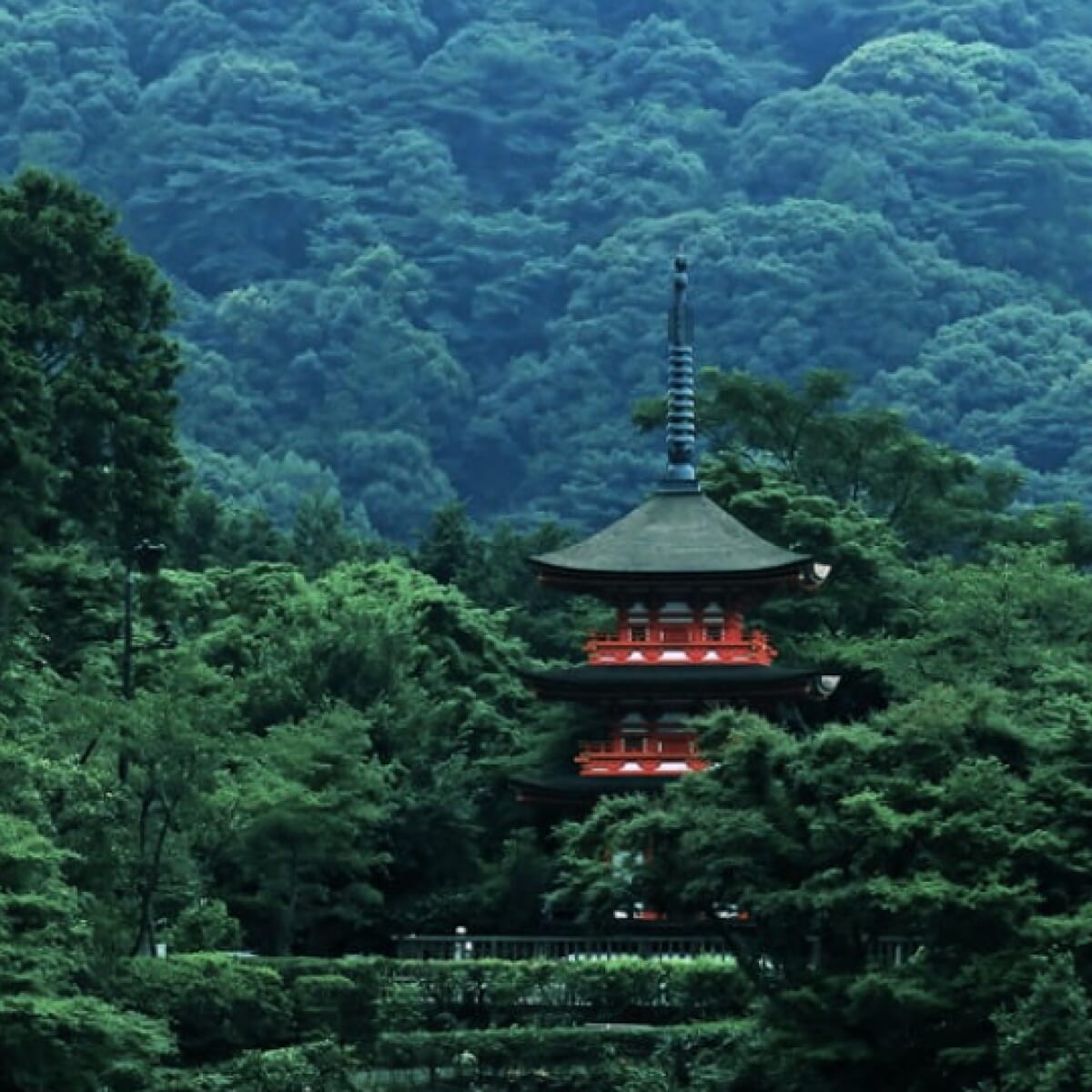 精進料理の精神性 -海外から見た日本の魅力-