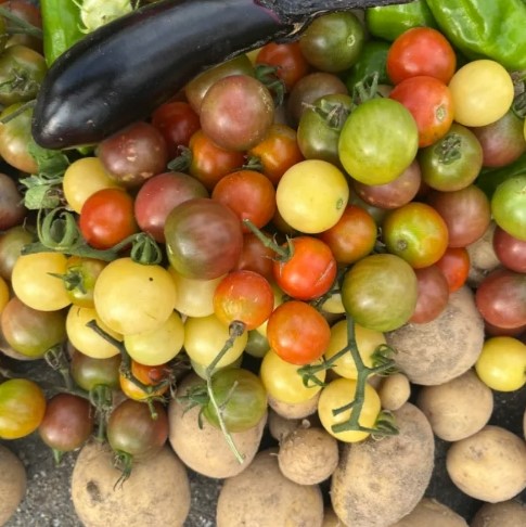 KYOTO URBAN FARMプロジェクト本格始動！