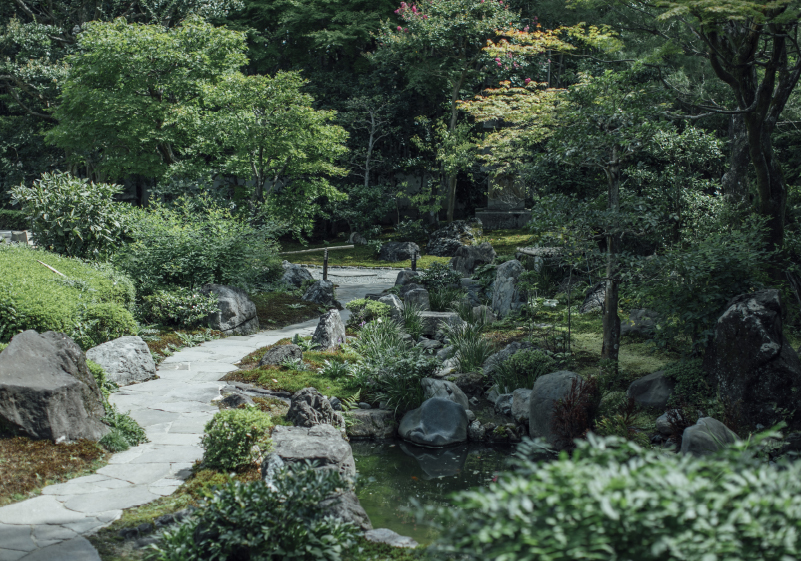 脱炭素ツーリズムHUB創設プロジェクト