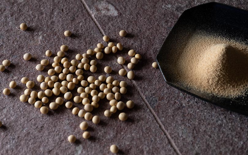 和菓子原材料の老舗・美濃与が挑む「大豆出汁」から始まる新たな未来