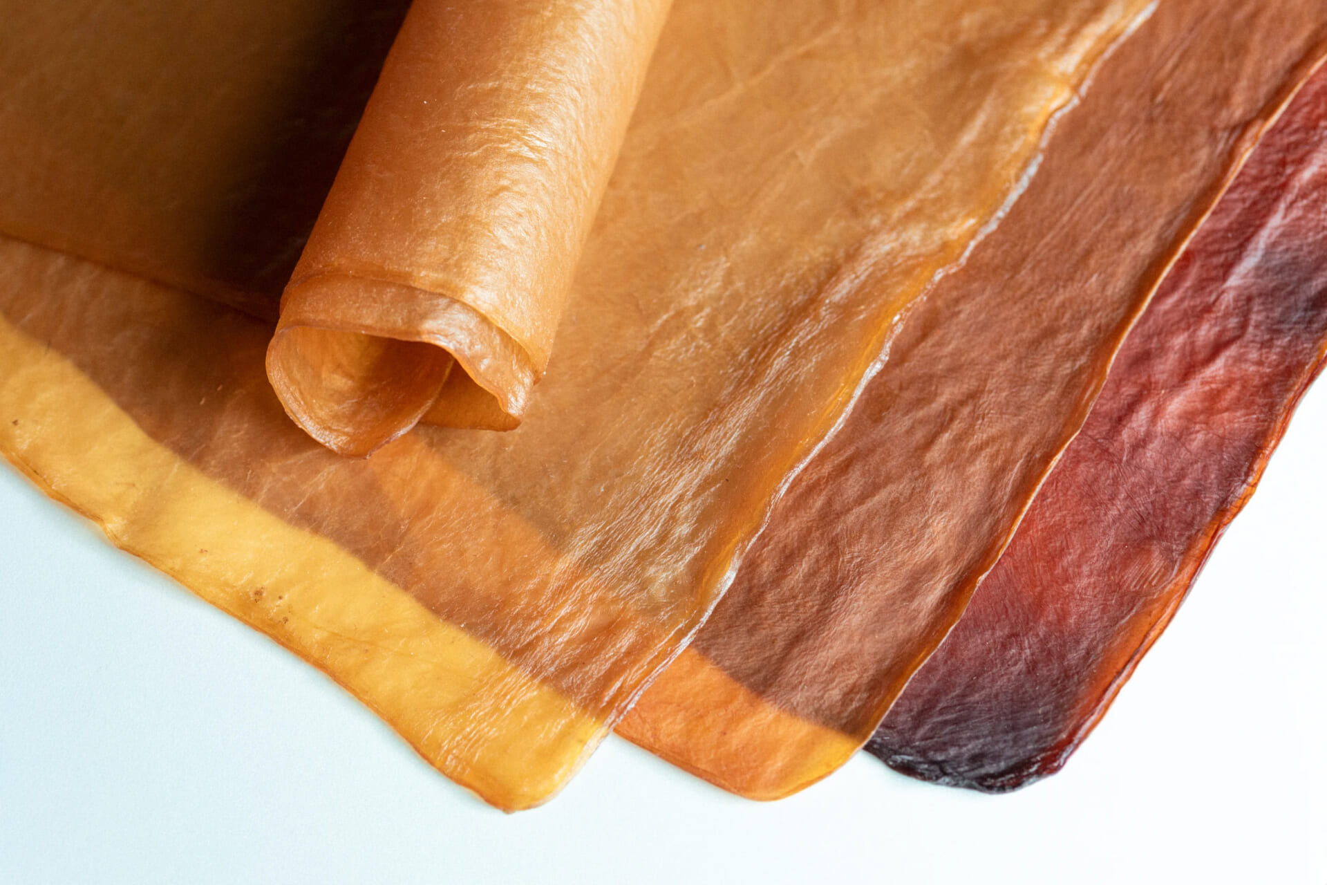 「革から植物へ――次世代ヴィーガンレザー『Pelliqua』が拓く共生の未来」