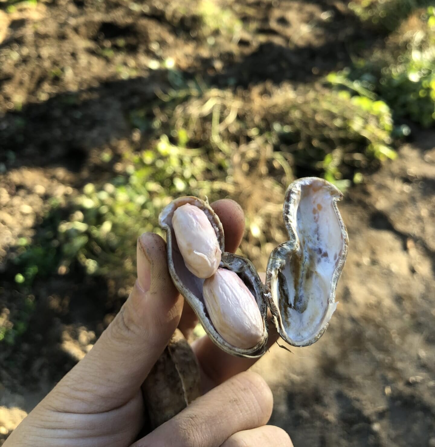 〈インタビュー〉里山や地域循環について知る機会の創出プロジェクト～モノの源流を知る旅へ～