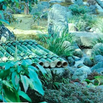 〈インタビュー〉京都脱炭素ツーリズムHUB創設プロジェクト　～ＣＯ2を減らす旅へ、新しい観光のカタチ～