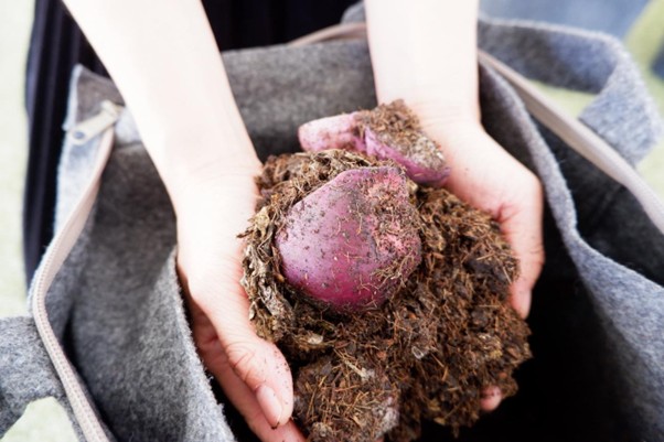 生ごみからはじめる持続可能な暮らし<br />
地域の中で「生産」と「消費」の循環をつくる「ごみカフェKYOTO」<br />
