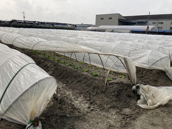 農業体験から考える地球に優しい生活<br />
野菜の地産地消でCO2を削減する「中嶋農園」